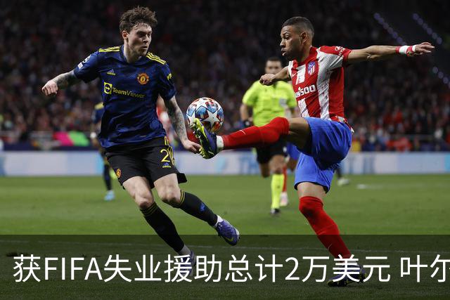 获FIFA失业援助总计2万美元 叶尔杰提成中国球员第一人